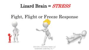 Fight or flight | Therapie bij angst | Reflexintegratie