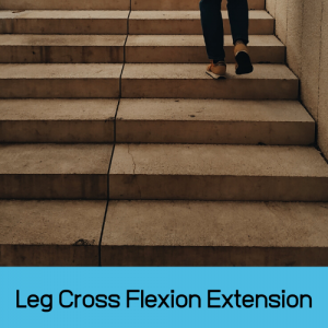 Leg Cross Flexion Extension