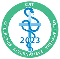 2023CAT